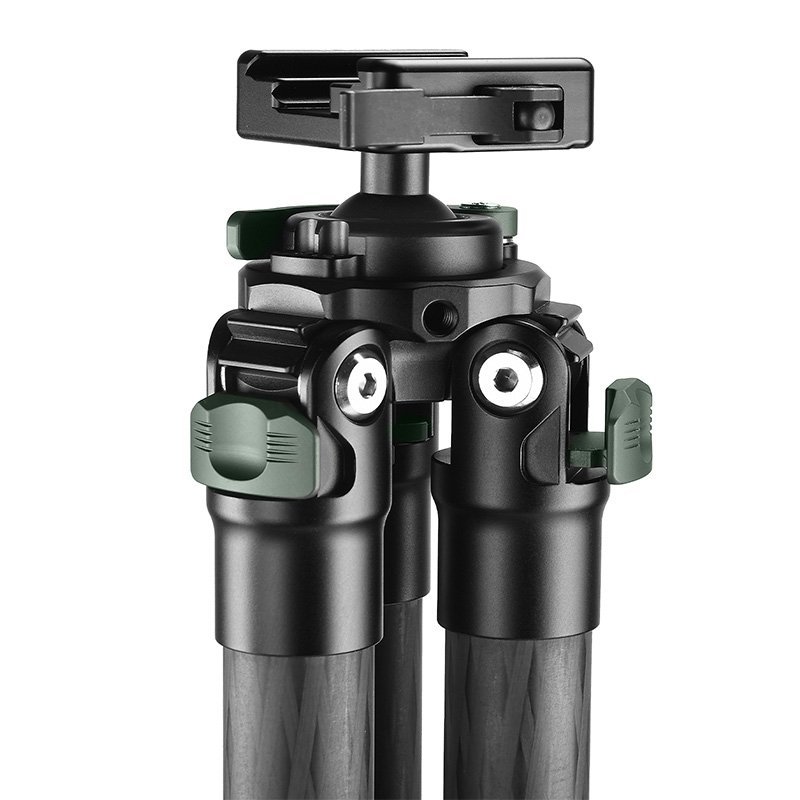SUNWAYFOTO T2830CSL-D Carbon Fiber Tripod with Inverted Ball Head